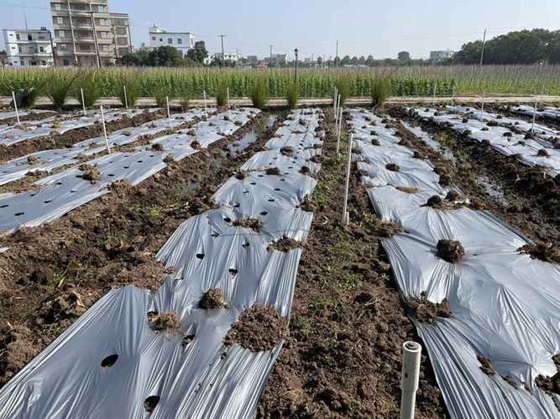 现代农业的新篇章：农产品基地建设的探索与实践